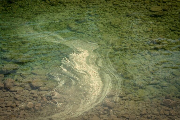 Allergiker mit sorgfältig zusammengestelltem Notvorrat für den Ernstfall geschützt