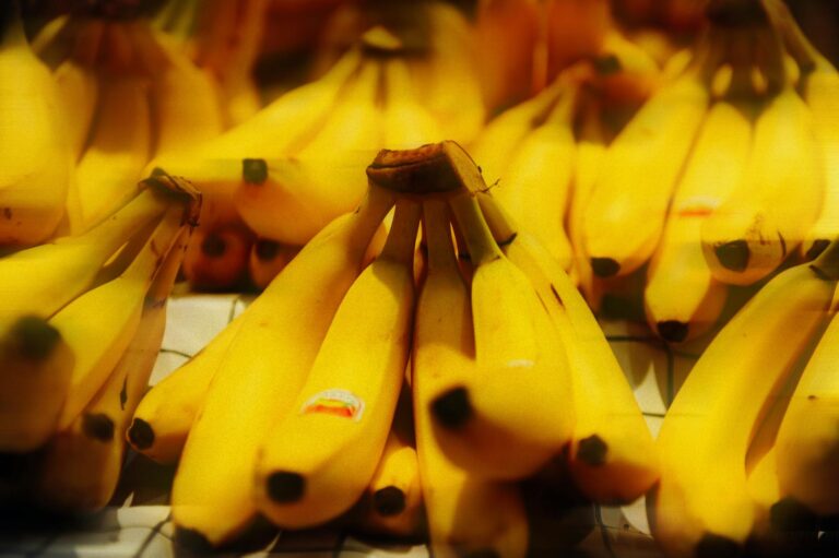 Vorratsregale mit ausgewählten haltbaren Lebensmitteln für gesunde Langzeiternährung