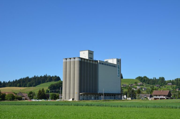 Ausgewogener Ernährungsplan für Notvorrat mit haltbaren Lebensmitteln in Krisenzeiten