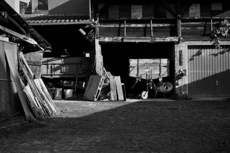 Fermentiertes Gemüse in Gläsern als natürliche Methode zur Haltbarmachung