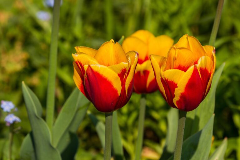 Geld und Bargeld sicher aufbewahren in Krisenzeiten – praktische Tipps Sichere Aufbewahrung von Geld und Bargeld in Krisenzeiten zu Hause