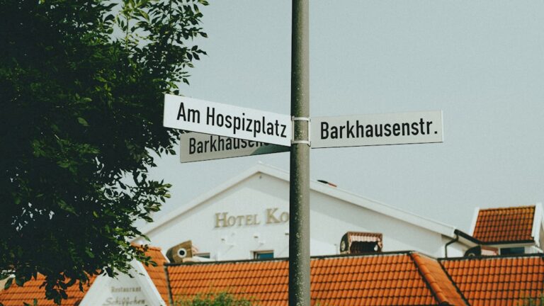 Hundebesitzer bereiten sich mit Erste-Hilfe-Ausrüstung auf Haustiere Notfall vor