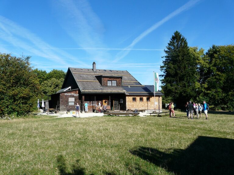 Praktische und platzsparende Organisation eines Keller Notvorrats mit Regalen und Behältern