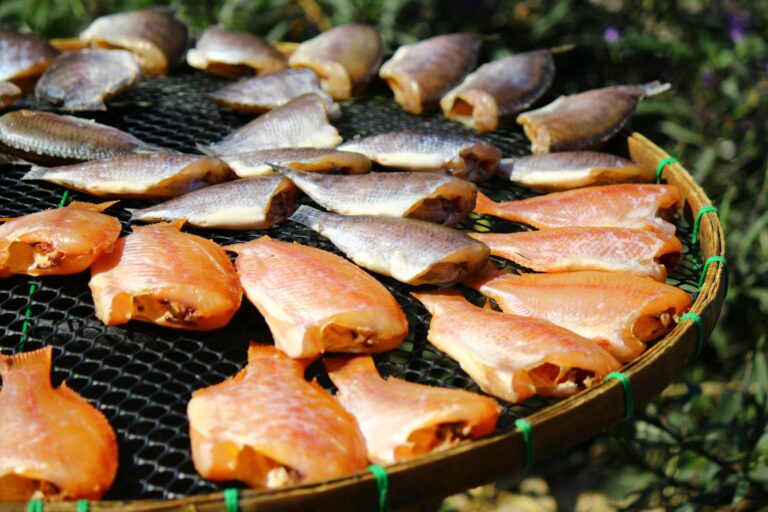 Lebensmittel trocknen im Dörrautomaten für nachhaltige und platzsparende Vorratshaltung