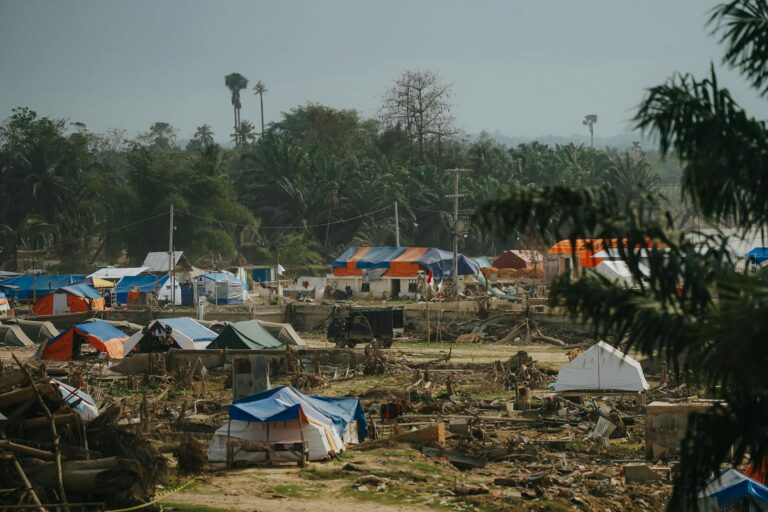 Selbstgebaute Notunterkunft aus Ästen und Blättern im Wald bei Survival-Tour