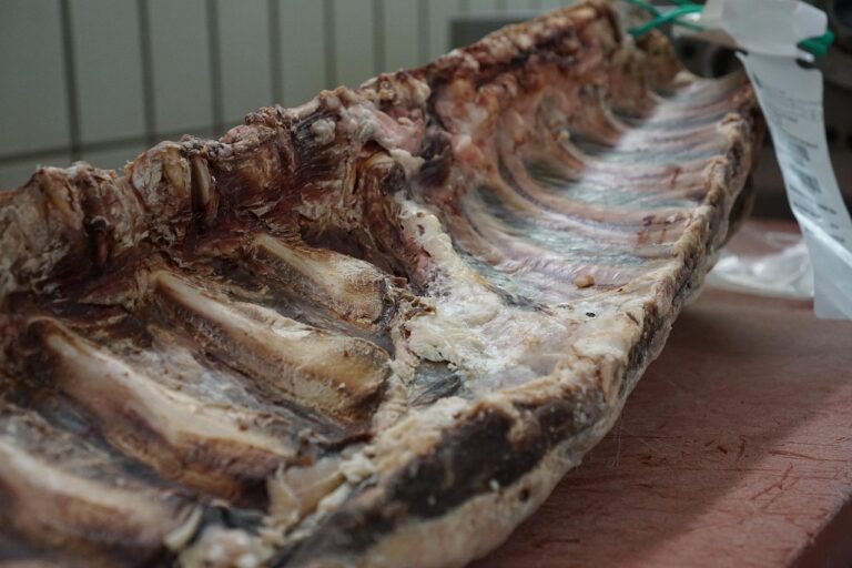 Trockenfleisch im Notvorrat für lange Haltbarkeit und intensiven Geschmack