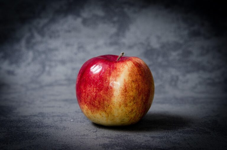 Vitamine in Krisenzeiten gezielt einsetzen und Mangel vermeiden Vorratskammer mit ausgewählten Lebensmitteln zur gezielten Vitaminversorgung in Krisenzeiten
