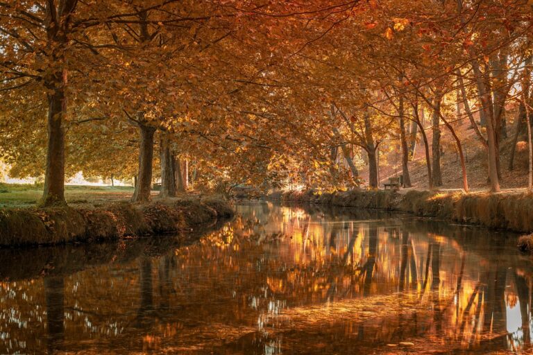 Symbolbild rechtliche Vorsorge DE für Notfälle mit Dokumenten und Stift