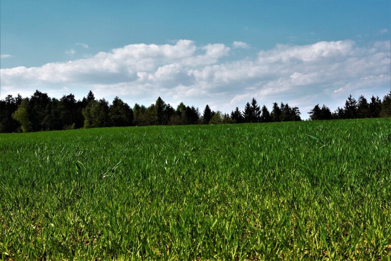 Mann lernt im Wald Überleben bei praktischem Notfalltraining für Einsteiger