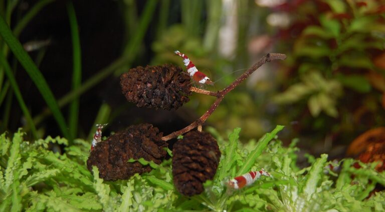 Vergleich verschiedener Wasseraufbereitung Methoden für sauberes Trinkwasser im Krisenfall