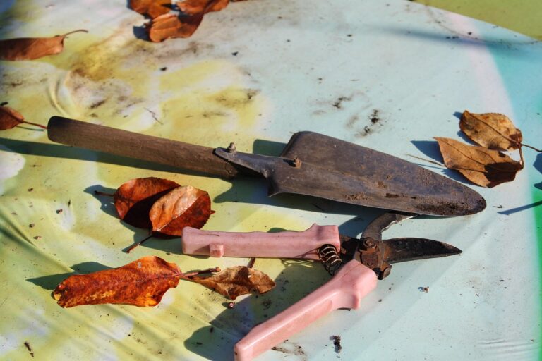 Mann schärft Outdoor-Messer mit Schleifstein für langlebige Werkzeuge im Wald